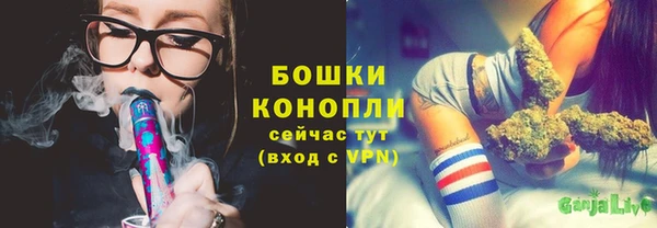 сатива Гусиноозёрск