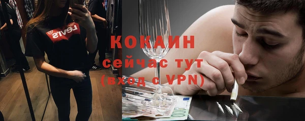 стаф Дмитровск