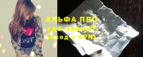 амф Гусев