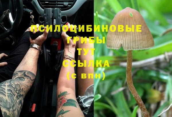 сатива Гусиноозёрск