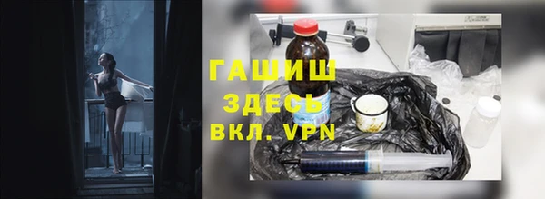 амф Гусев