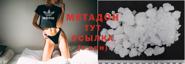 амф Гусев