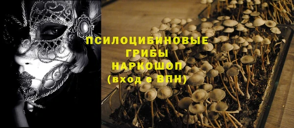 стаф Дмитровск