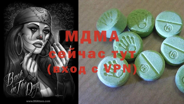 прущие грибы Заволжье