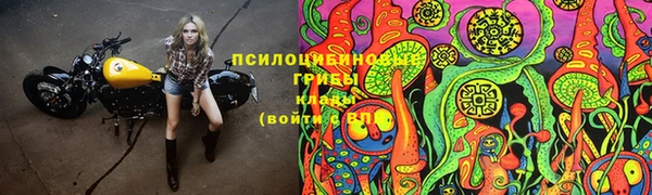 spice Дмитров