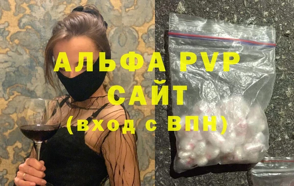 амф Гусев
