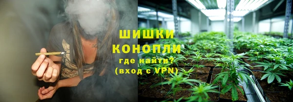стаф Дмитровск
