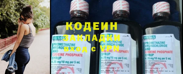 амф Гусев