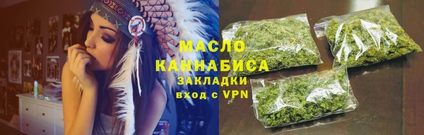 амф Гусев