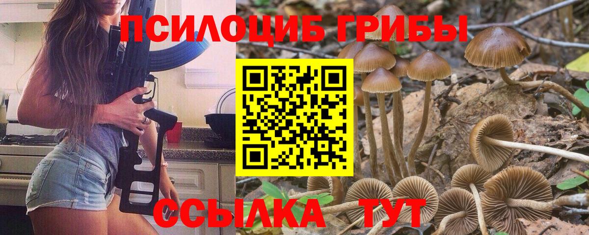 Псилоцибиновые грибы мицелий  Галлюциногенные грибы Magic Shrooms  Вход с VPN  Геленджик 
