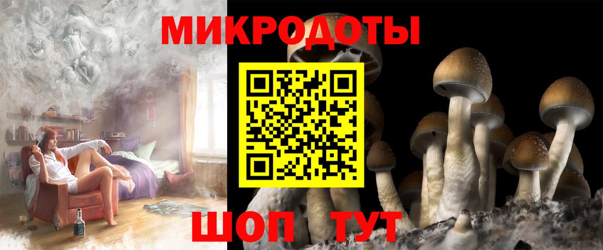 Псилоцибиновые грибы мицелий Геленджик